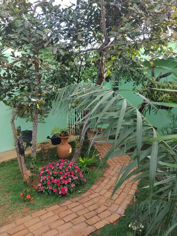 Flores Do Cerrado Alto Paraíso de Goiás Exteriér fotografie